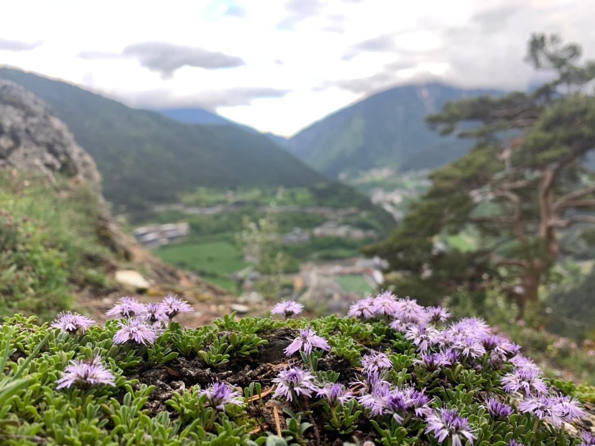 Passamane Pb - Canillo - Casco Antiguo Eksteriør bilde
